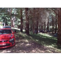 president's cruise 1